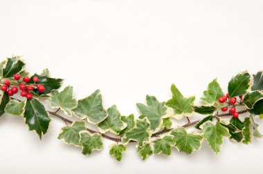 Bir Noel şablonu için beyaz bir arka plan üzerinde izole çilek ile şenlikli fışkın holly ve sarmaşık yaprakları