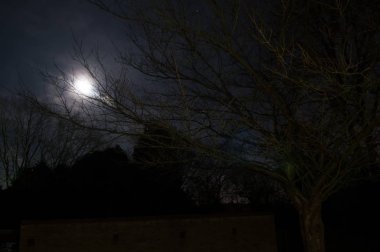 Parlak mehtaplı gece gece sahnesi