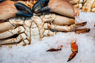 Buzda balık pazarı, Yengeç yaşamak