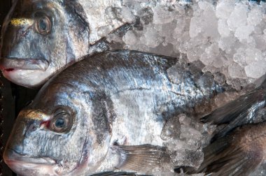 Buzda balık görüntüsünü kapatmak 