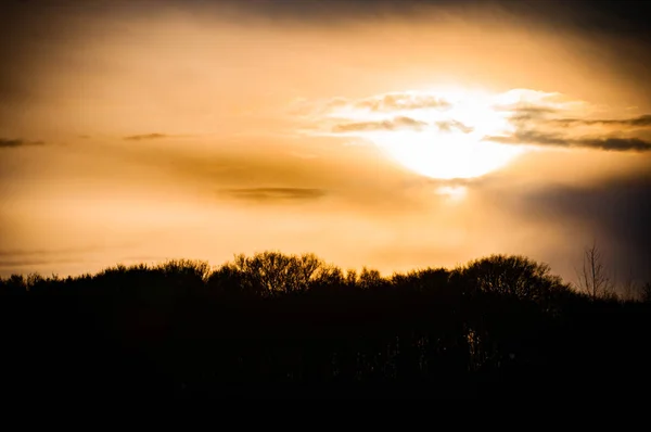 Sonnenuntergang in Gelb und Orange über einer Baumsilhouette — Stockfoto