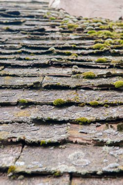 Kırık çatı ile inşa ve yosun büyüyen aşağı koşmak