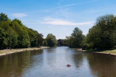 Halka açık bir parkta göl manzarası