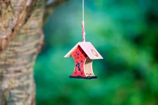 Vogelfutterhäuschen Hängt Einem Baum Ein Kinderschulprojekt — Stockfoto