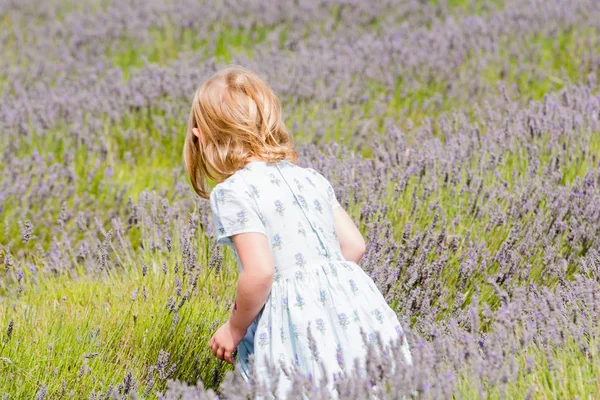Jeune fille cueillette des fleurs dans une prairie d'été, enfant est collecti — Photo