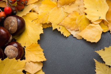 Boş kopya alanı ve seasona ile düzenlenmiş sonbahar doğa nesneleri