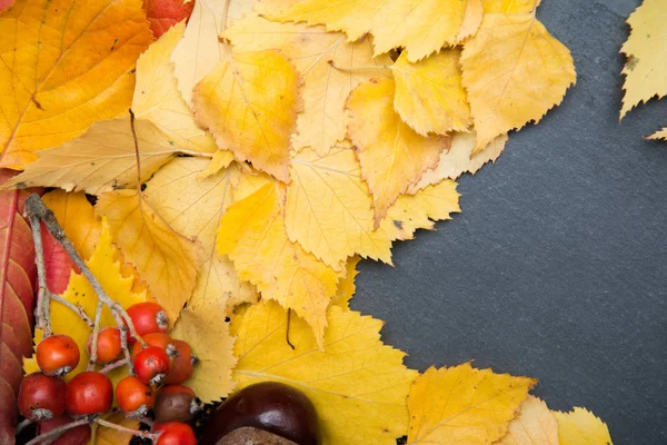Boş kopya alanı ve seasona ile düzenlenmiş sonbahar doğa nesneleri