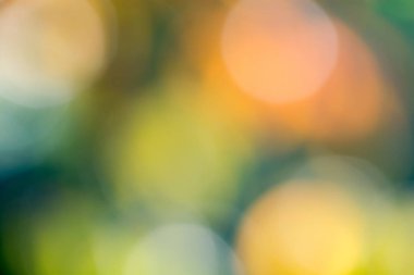 Sonbahar yaprakları renk arka plan bulanıklık