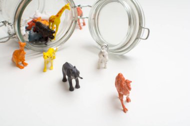 Safari hayvanlar esaret kavramı kaçan vahşi hayvanlar