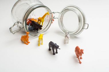 Safari hayvanlar esaret kavramı kaçan vahşi hayvanlar