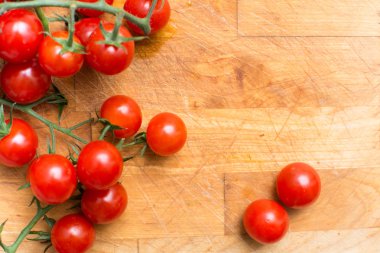 Taze ve olgun üzüm domates, domates asma üzerinde