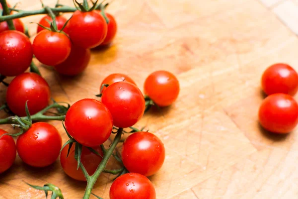 Taze ve olgun üzüm domates, domates asma üzerinde