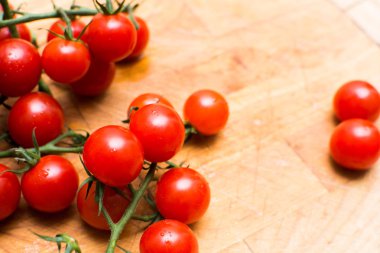 Taze ve olgun üzüm domates, domates asma üzerinde