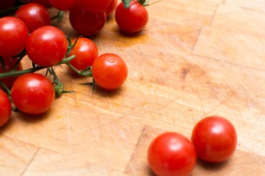 Taze ve olgun üzüm domates, domates asma üzerinde