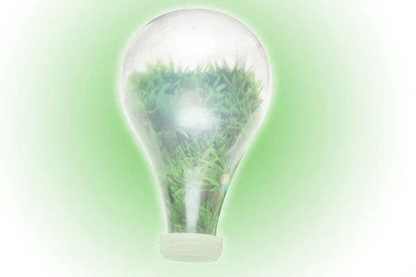 クリーン バイオ エネルギーの再生可能エネルギーの概念 — ストック写真