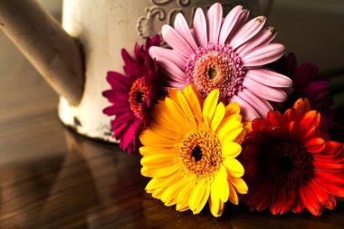 Retro vintage tarzı Çiçek Aranjmanlar