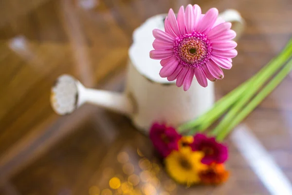 Floral arrangement of bright colored flowers for gardening backg