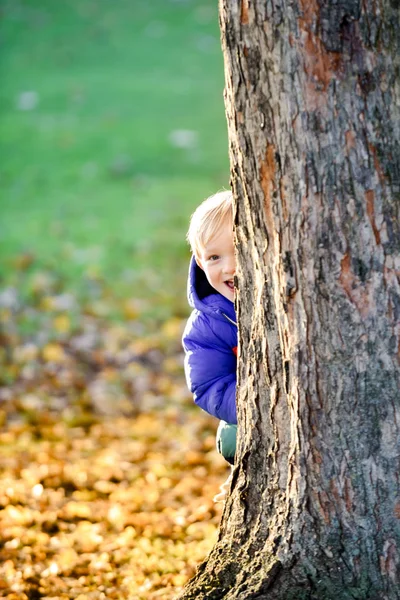 Schattig Jong Blond Jongen Verstoppen Spelen Verstoppertje Spelen Een Park — Stockfoto