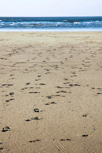 Великий порожній піщаний пляж із золотим піском, що веде до океану — стокове фото