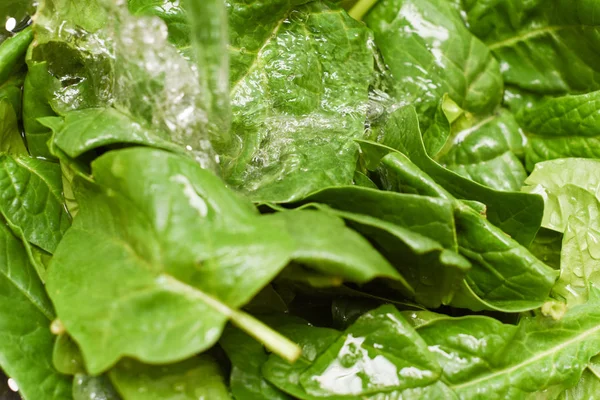 Espinacas frescas, espinacas orgánicas lavadas con agua, una fuente de nu —  Fotos de Stock