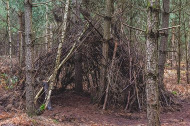 Ormana bir barınak yapın. Dışarıda oynayan çocuklar tarafından yapılmış bir çadır kulübesi ya da mağara.