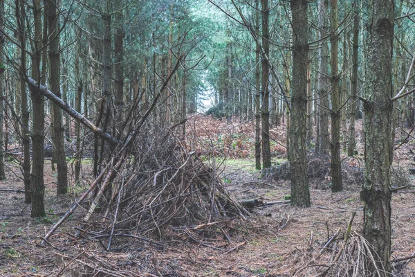 Stick shelter in the forest a wigwam style hut or den made by kids playing outside