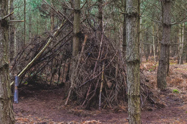 Stick shelter in the forest a wigwam style hut or den made by kids playing outside
