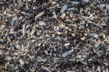 Ağaç kabuğunun tepesinde odun parçaları var.