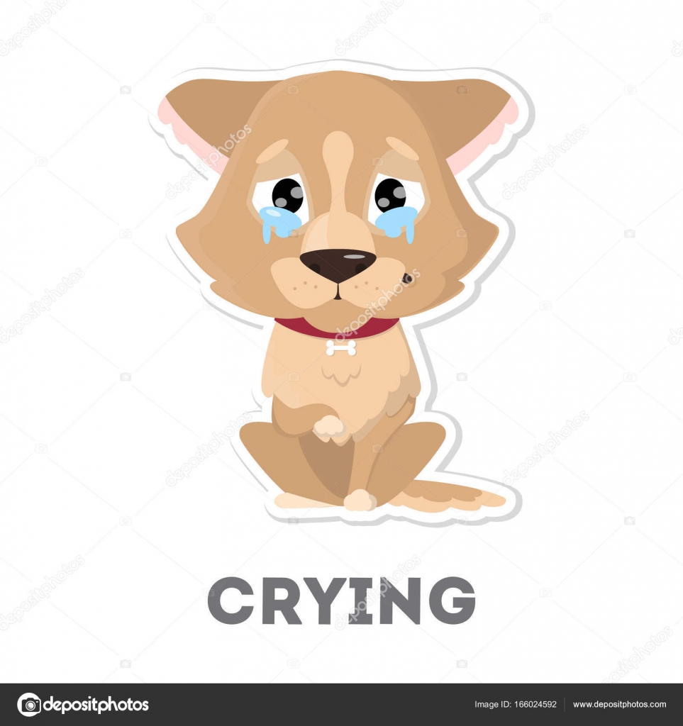 Isolierter weinender Hund. lizenzfreie Grafiken