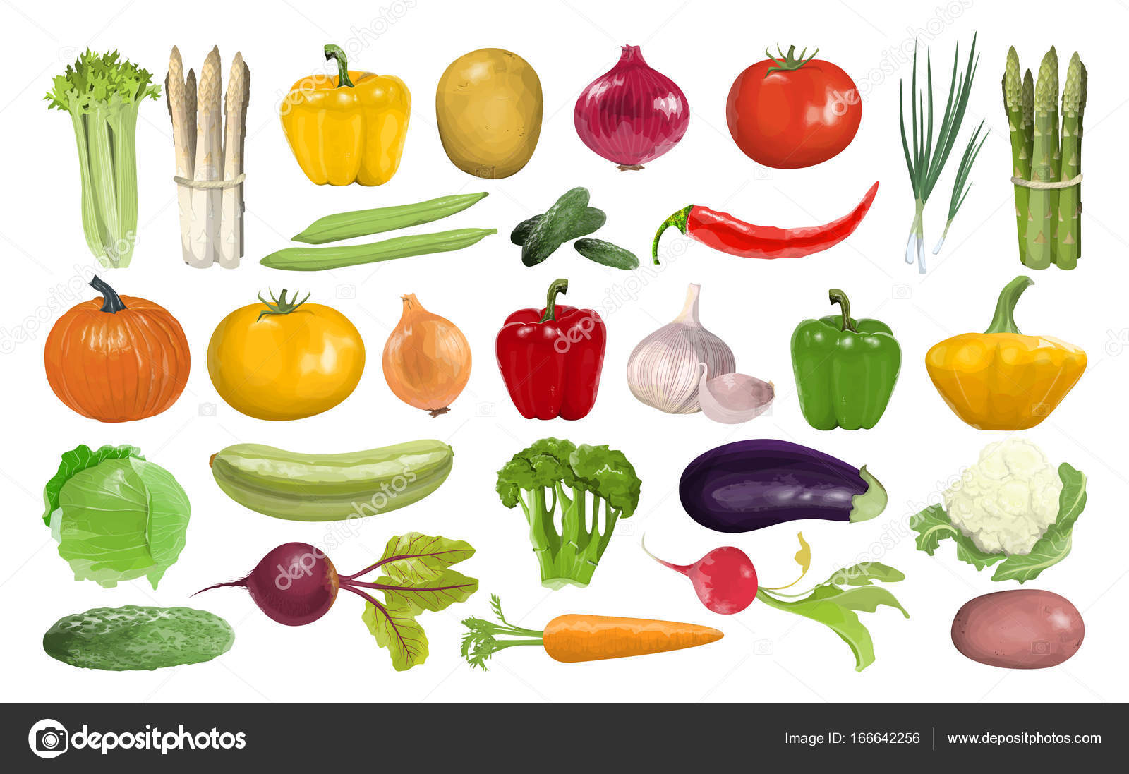 Todas las verduras . — Archivo Imágenes Vectoriales © inspiring.vector