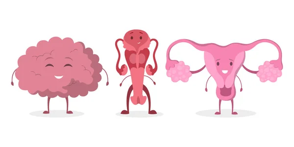 Internal human organ with funny faces set. Anatomy and biology concept.