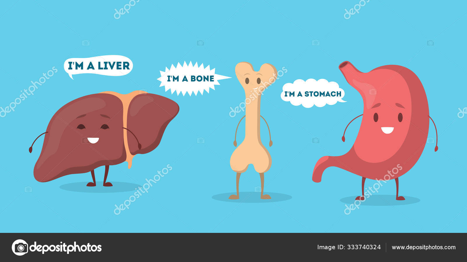 wallpapers Funny Cute Biology Wallpaper https depositphotos com 333740324 stock illustration internal human organ with funny html