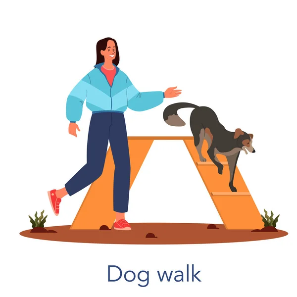 Dog agility dog walk. Training exercise for pet. Woman training her pet