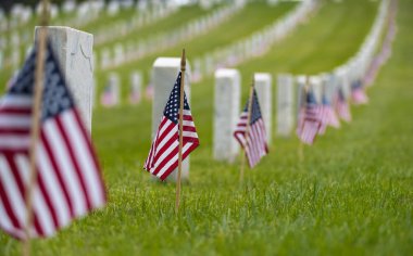 Küçük Amerikan bayrağı Ulusal Mezarlığı - anma günü, görüntüleme