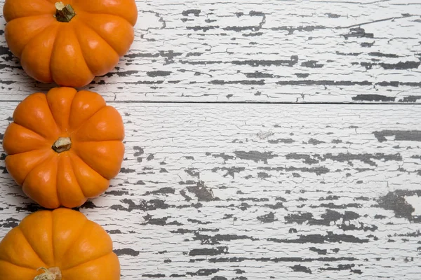 Une rangée de mini citrouilles sur un fond de planche de bois blanc avec espace de copie — Photo