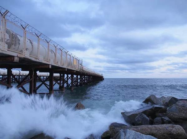 Soğuk sabah deniz kenarında dalga