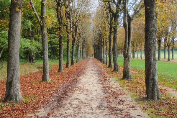 Eyfel Kulesi - Champ de Mars görünümden. Paris, Fransa