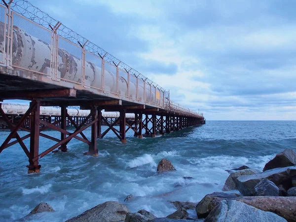 Soğuk kış sabahı denizin kenarında — Stok fotoğraf
