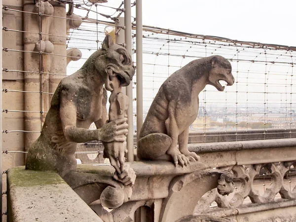 Yakın çekim Chimeras balkonda Notre Dame Katedrali