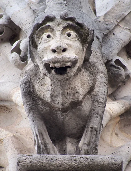 Горгулья и химера собора Нотр-Дам — стоковое фото