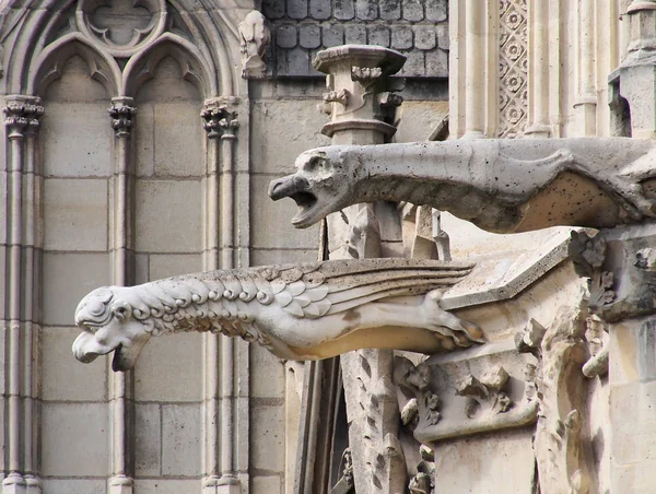 Vízköpő a Notre Dame-katedrális, Párizs, Franciaország — Stock Fotó
