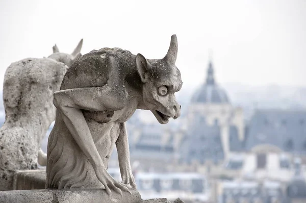 Notre Dame kuleden görüntülemek