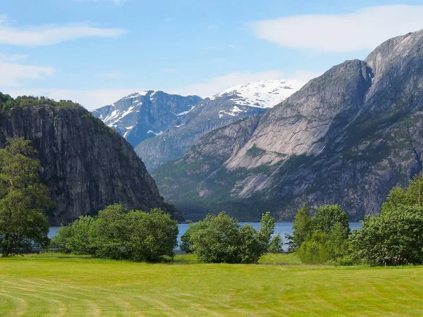 Norvég táj. Legelő, a fjord, a hófödte hegyek. — Stock Fotó