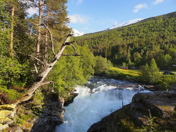 Yaz manzara dağ nehir ile. Norveç