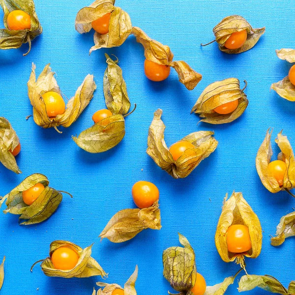 Food bckground with Physalis Scattere- Golden berries on blue background, flat lay. Minimalism style.