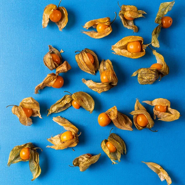 Golden berries Physalis Scattered on blue background.