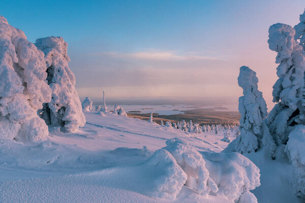 Winter landscape with snow covered trees in winter forest in Finland Lapland. — Stock Image Winter landscape with snow covered trees in winter forest in Finland Lapland. — Stock Photo, Image