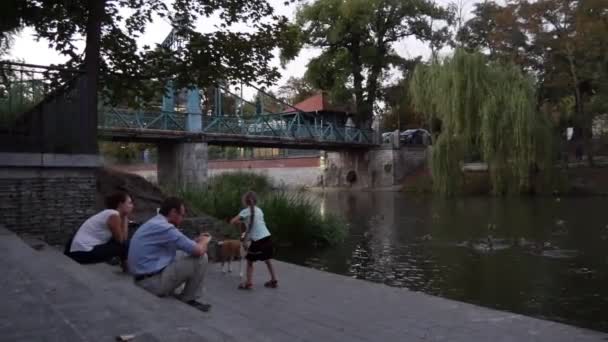 Petite fille court le long de la côte de la petite rivière — Video