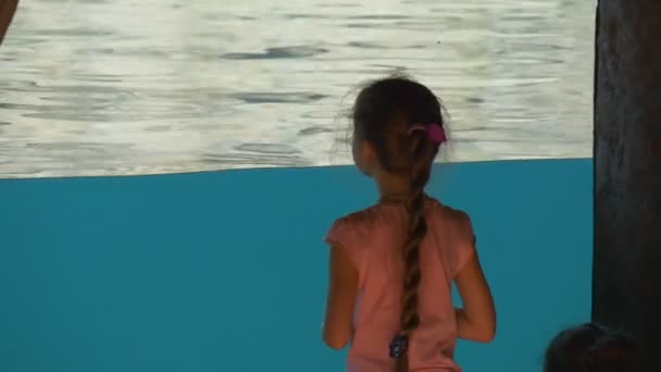 Un pequeño grupo de niños camina en un parque acuático — Vídeo de stock