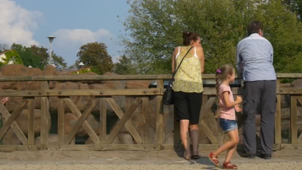 Девушка пытается залезть на деревянный забор — стоковое видео